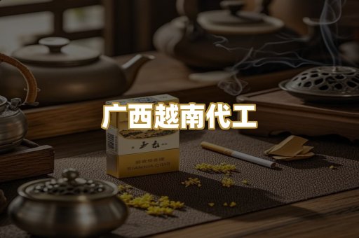 广西越南代工